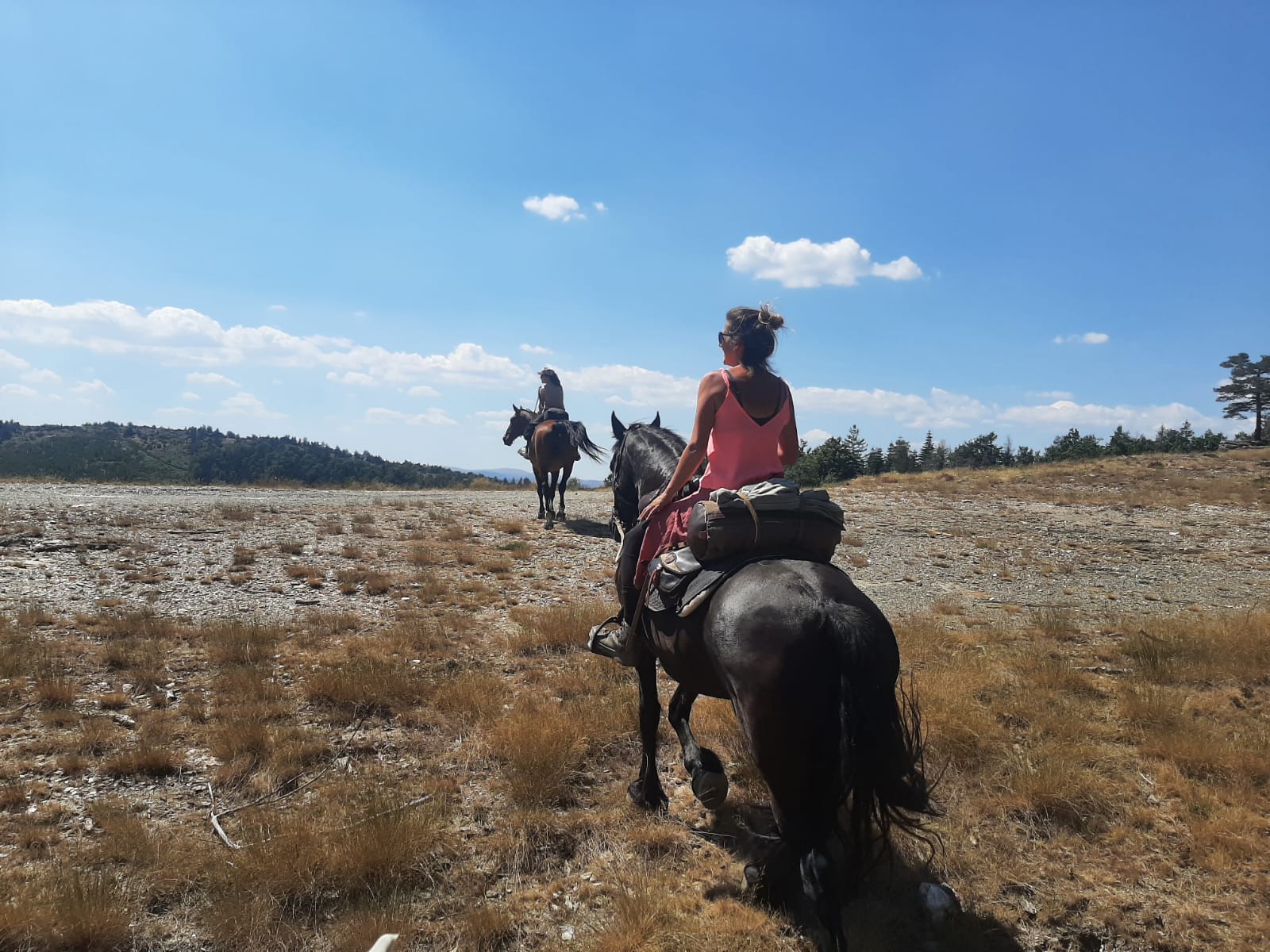 Randonnée à cheval sur un plateau ensoleillé