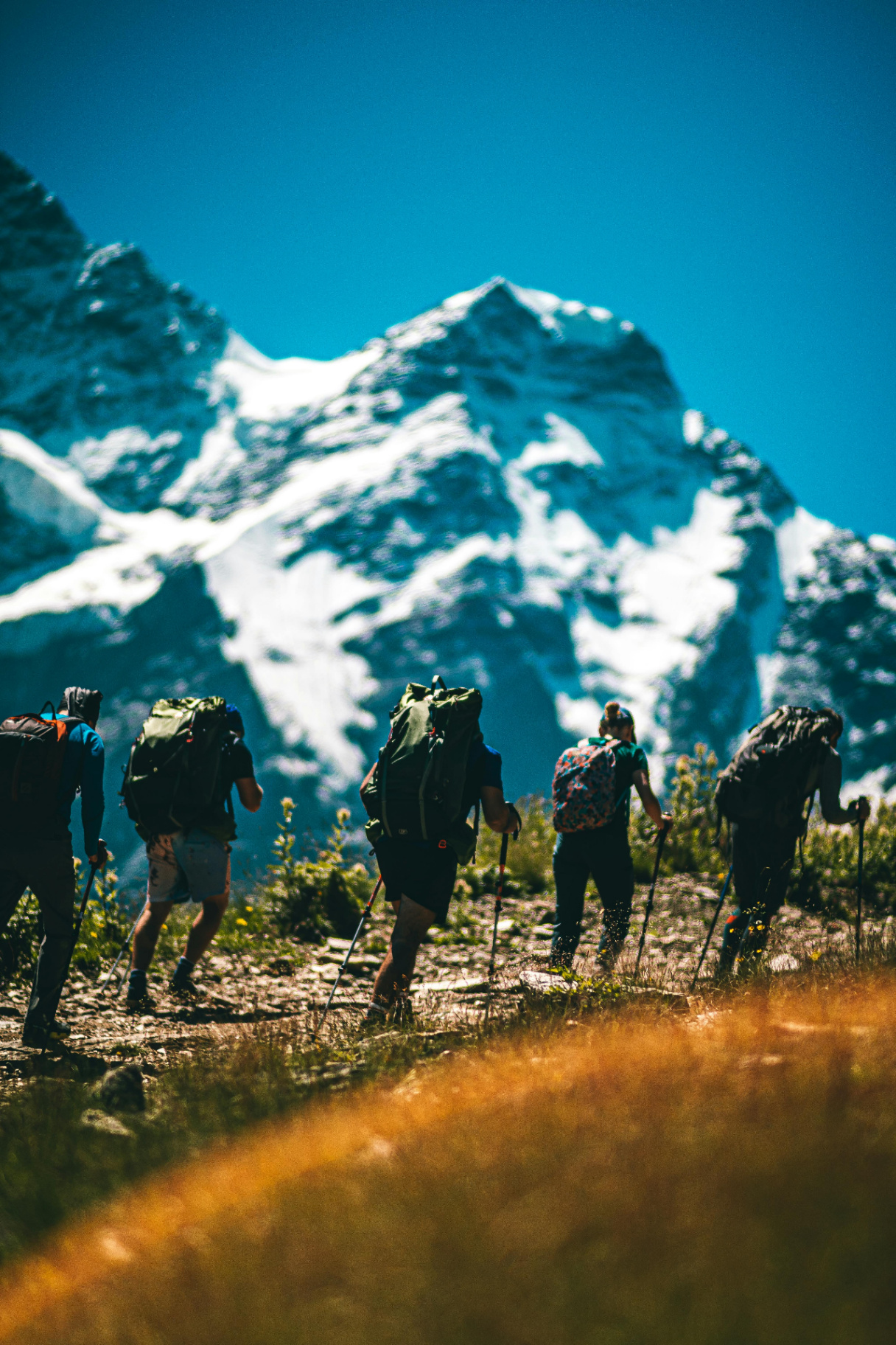 Groupe de randonneurs en montagne face à un sommet enneigé